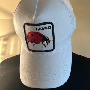 Ladybug SnapBack hat